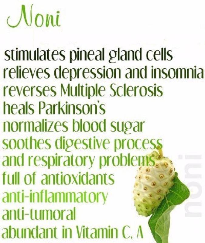 energy boosters for women - RESVERATROL – NONI COMBO 2B - noni extract gallery