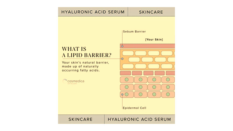 Hyaluronic Acid Serum for Skin-- 100% Pure-Highest Quality, Anti-Aging Serum gallery