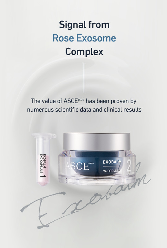 [ASCE+] ASCE+ Exobalm 3 boxes - Rose Stem Cell Exosome Cream gallery