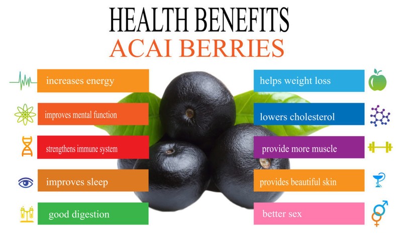 fat loss extreme - ACAI BERRY – GREEN TEA COMBO 2B - green tea natural gallery