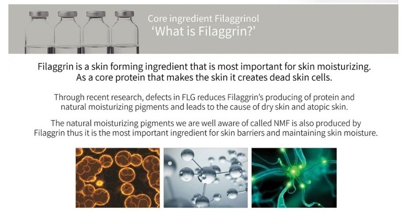 ECLADO Rescuer Ampoule Filagen 3.5ml 3EA Collagen Ampoule Anti-Aging Ampoule New gallery