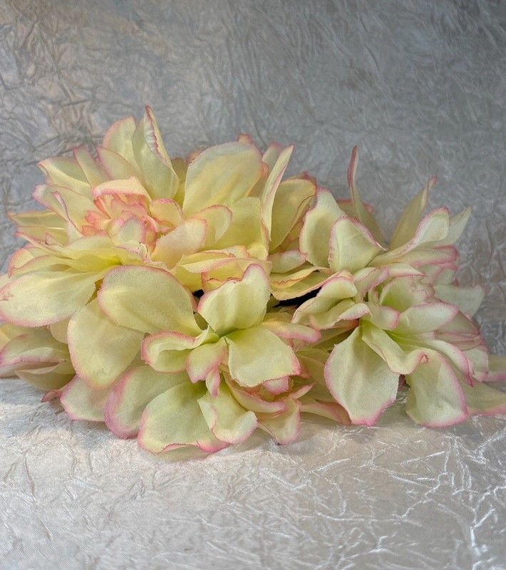 6 Darphin INTRAL Inner Youth Serum Essential .05oz Ea = .30oz NIP Free Shipping gallery