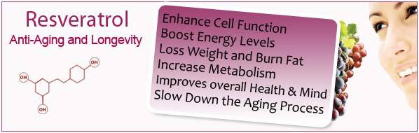 anti-aging organic - RESVERATROL – NONI COMBO 2B - noni leaf extract gallery