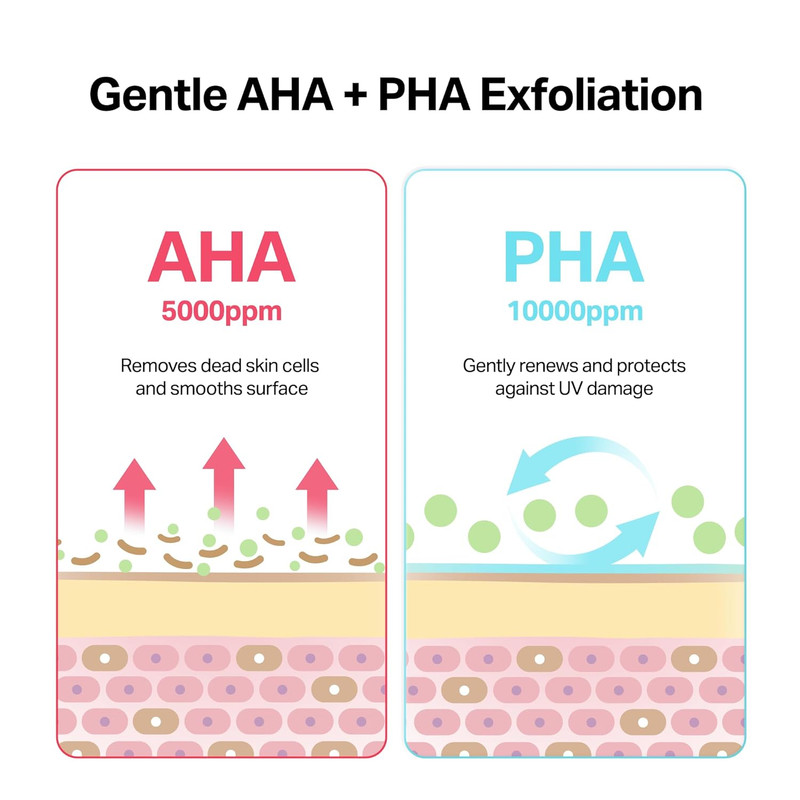 Camellia Clear Daily Exfoliating Serum – 2% Niacinamide + AHA & PHA, Gentle Chem gallery