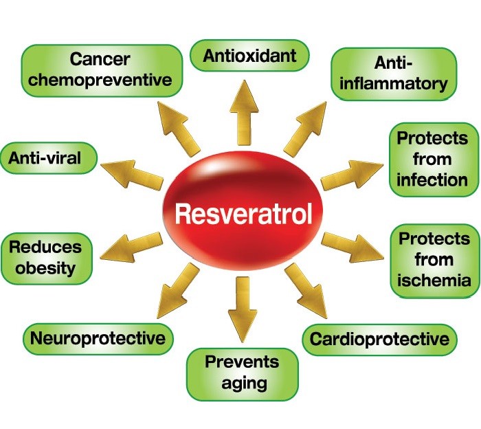 anti-aging products - RESVERATROL – NONI COMBO 2B - noni leaf extract organic gallery