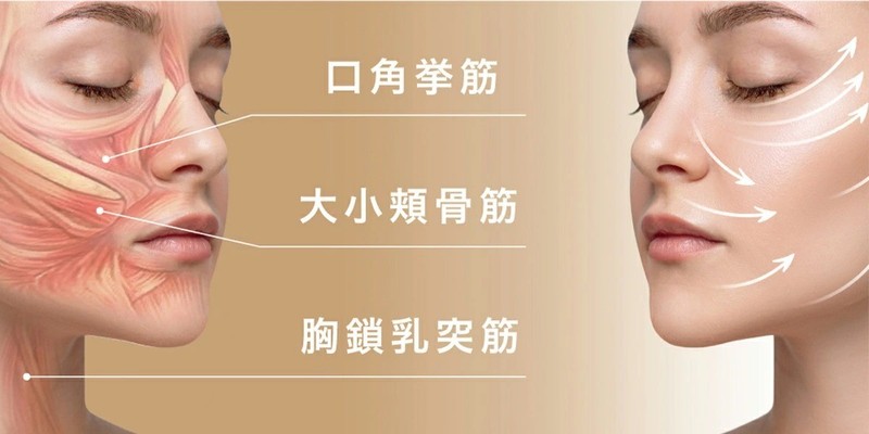 Hot and Cold EMS Facial Lift BRUNO Iontophoresis Whole Body Care USB NEW JAPAN gallery
