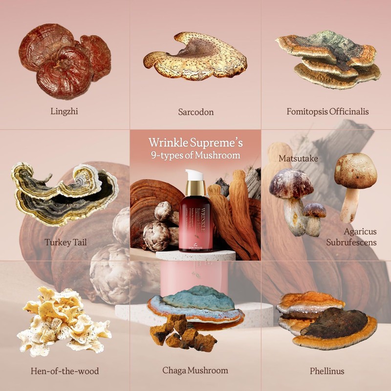 Korean Ginseng Serum with Mushrooms Anti Aging Firming Wrinkle Care 50ml gallery