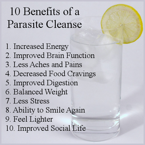 antioxidant health – GRAVIOLA - ANTI-PARASITES COMBO 2B - graviola sour sop gallery